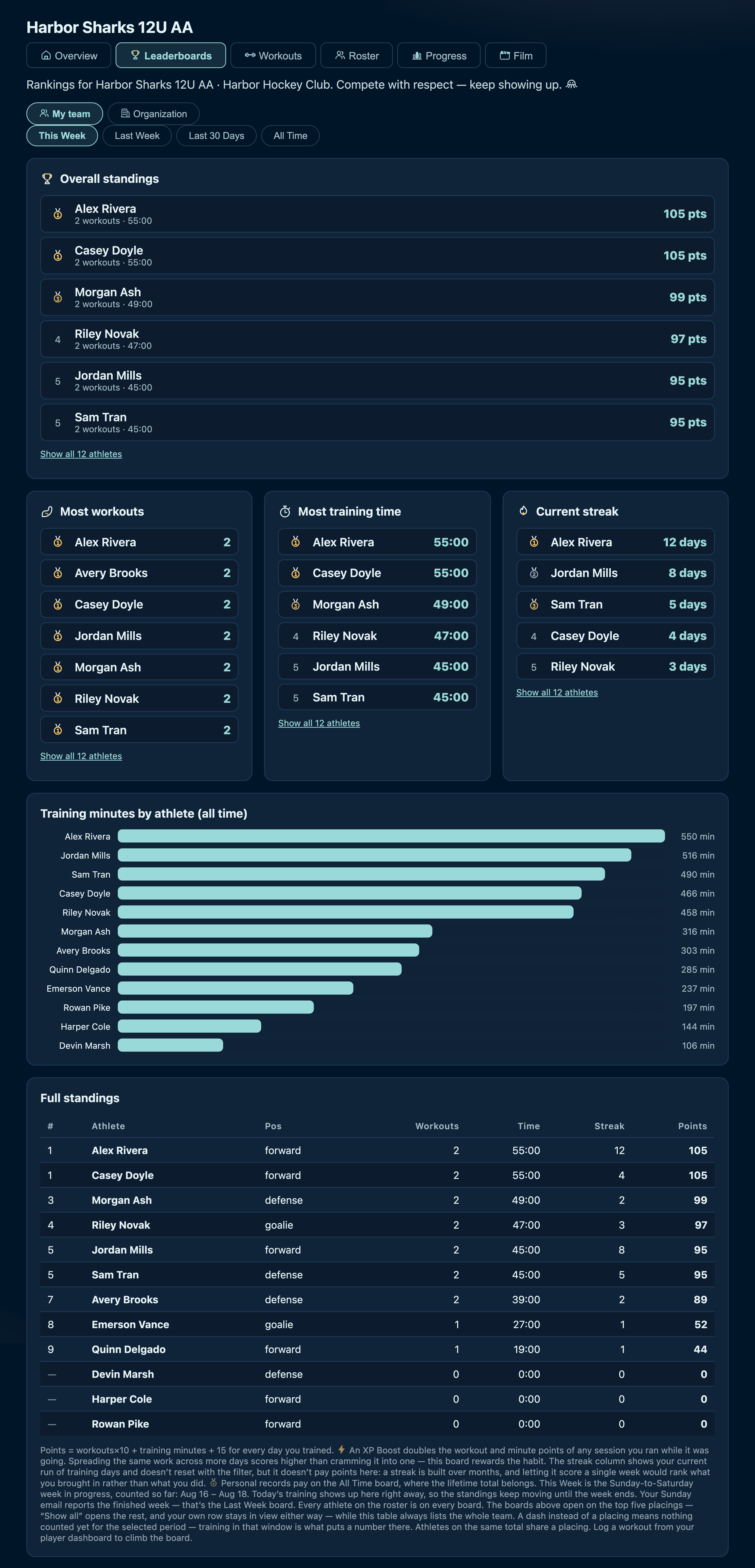 The team leaderboard with overall standings, most workouts, most training time and current streak