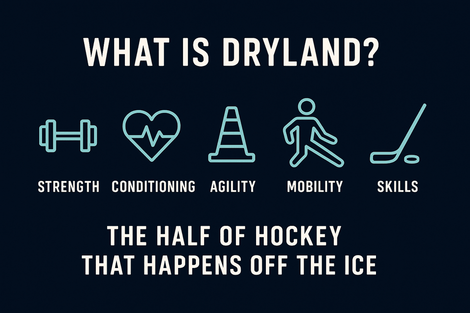 Diagram: the five parts of dryland training